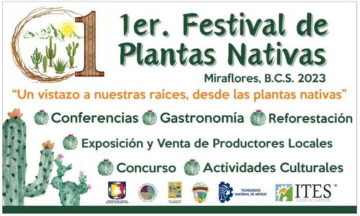 Todo se encuentra listo para que este próximo viernes 01 de diciembre se realice el 1er Festival de Plantas Nativas 2023, evento que es organizado por la delegación municipal de Miraflores en conjunto con el Tecnológico Nacional de México campus Los Cabos.